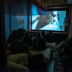 호텔 Volkshotel 3*