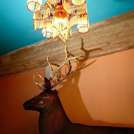 Volkshotel Hotel